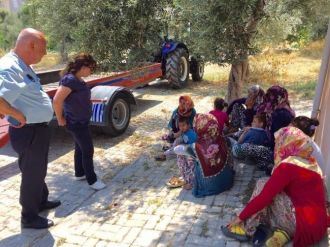 Dilencilere Kabahatler Kanunu Uygulandı