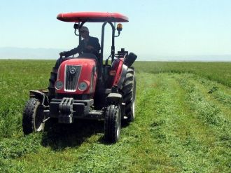 Kayseri’de Çöller Yeşeriyor