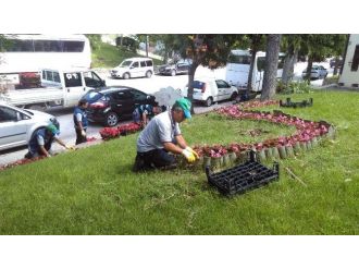 Çiçek Gibi Odunpazarı