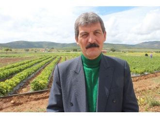 Hüyük’te Lavanta Dönemi