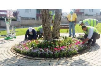 Yıldırım’da ‘Yeşil’ Seferberlik