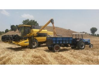 Sincik’te Hububat Hasadı Başladı