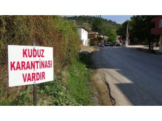 Balıkesir’de İki Mahalle Karantina Altına Alındı