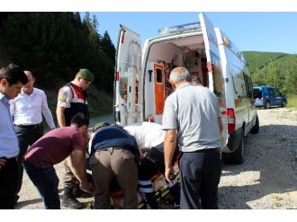 Kastamonu’da Otomobil Tarlaya Uçtu: 5 Yaralı