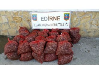 6 Ayda 39 Bin Kilo Kaçak Midye Ele Geçirildi