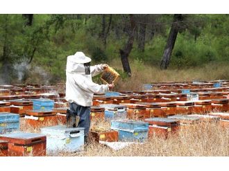 Maybir Başkanı Şahin: “Üreten Biziz, Kriteri Ab Koyuyor”