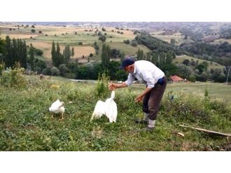 Erzurum’da Yaşlı Adamın Kazla Oyunu İlginç Görüntü Oluşturdu