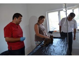 Dalaman Belediyesi’nden Haydost Başkanına Suç Duyurusu