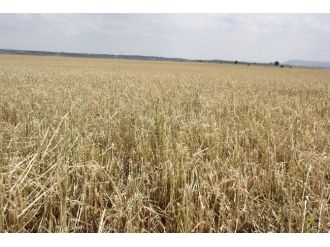 Eskişehir’de Bereketli Yağışlar Afete Dönüştü