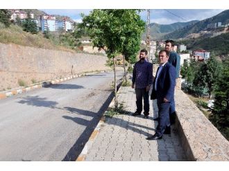 Gümüşhane Belediyesi Yeni Mezarlık Alanı Oluşturuyor