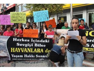 Edirne’de Pompalı Tüfekle Köpek Vahşetine Tepkiler Büyüyor