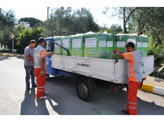 Bayat Ekmekler Sokak Hayvanlarına Yemek Olacak