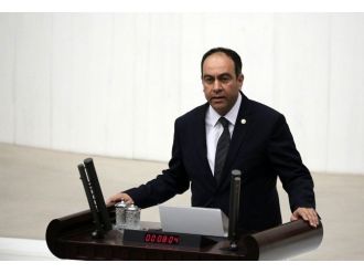 Zülfikar İnönü Tümer, Chp Grup Disiplin Kurulu Üyesi Oldu