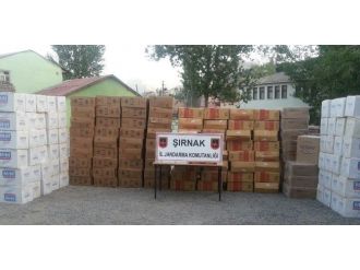 Şırnak’ta 69 Bin Paket Kaçak Sigara Ele Geçirildi