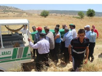 Ölüm Tarlada Yakaladı