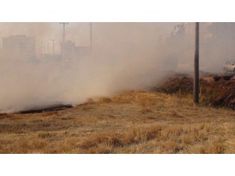 Nusaybin’de Anız Yangınına Toma İle Müdahale Edildi