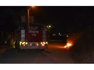 Karamürsel’de Ot Yangını