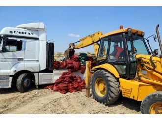 10 Ton Bozuk Midye İmha Edildi