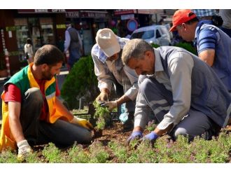 Diyarbakır’da 6 Ayda 600 Bin Mevsimlik Çiçek Ekildi