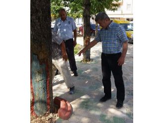 Yığılca Yeni Bir Vizyon Kazanıyor