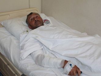 Bursa’da Ayı Dehşeti