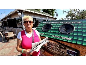 Büyükçekmece’de Köpekler İçin Örnek Uygulama