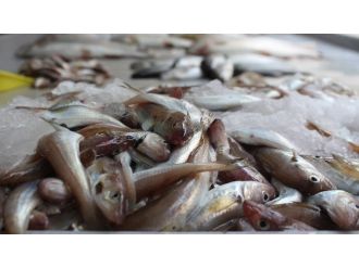 Balık Piyasasında Ramazan Durgunluğu