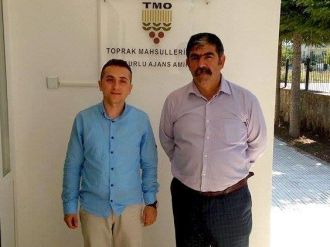 Sungurlu Tmo Buğday Alımına Başlıyor