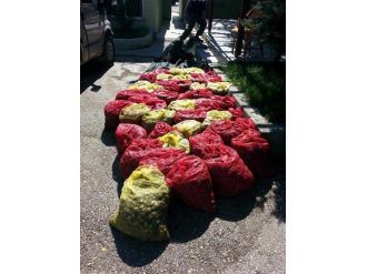 Edirne’de 2 Ton Kaçak Midye Ele Geçirildi