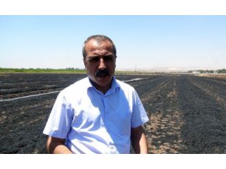 Çevrecilerden Anız Yangınlarına Tepki