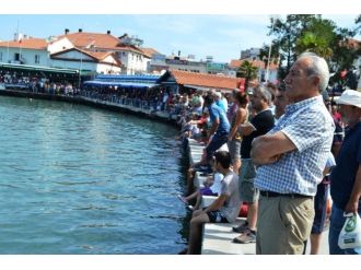 Ayvalık’ta Denizcilik Ve Kabotaj Bayramı Büyük İlgi Gördü