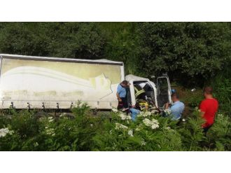 Kamyonet Şarampole Yuvarlandı: 1 Ölü, 1 Yaralı
