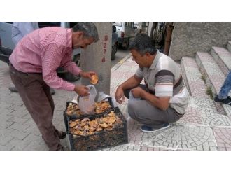Yaz Ayında Çıkan Melki Mantarı Şaşırttı