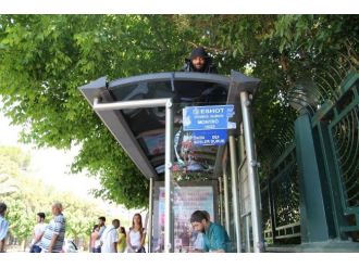 Aşkından 7 Yıldır Otobüs Durağının Tepesinde Yaşıyor