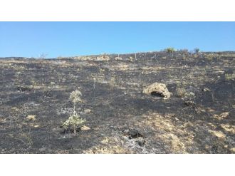 Elazığ’dan Kısa Kısa