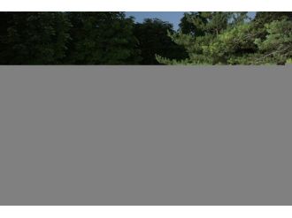 Farklı Ülkeler Aynı Sofrada