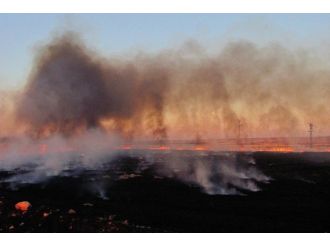 Araban Ovası’nda Anız Yangınları