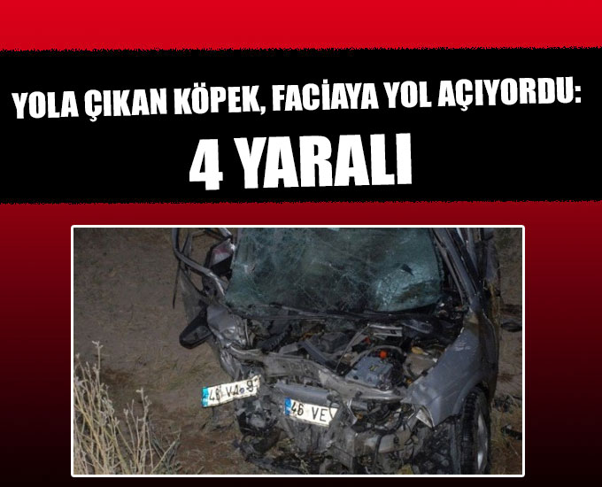 Yola Çıkan Köpek, Faciaya Yol Açıyordu: 4 Yaralı