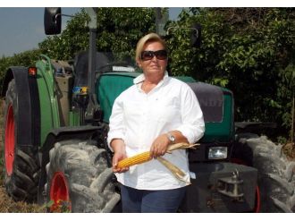 Mısırda Yüksek Rekolte Beklentisi