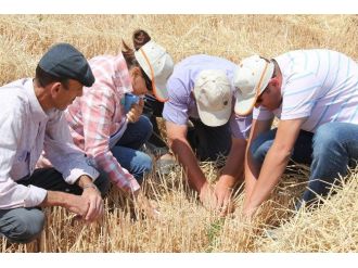 Niğde’de Biçerdöver Denetim Timleri Kuruldu