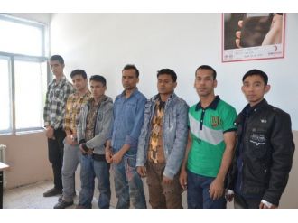 Başkale’de 7 Kaçak Şahıs Yakalandı