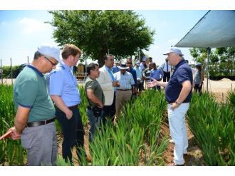 Adana, Hollanda’nın Rusya’ya Açılan Kapısı Olacak