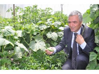 Yozgat’ta Polis Müdürü Hobi Bahçesinde Sebze Yetiştiriyor