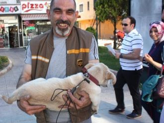 Yorulan Köpeğini Kucağında Taşıdı
