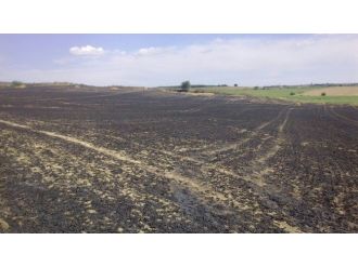 Tekirdağ’da Buğday Tarlasında Büyük Yangın