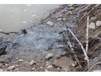 “Yetkililer Görmezden Geliyor, Çevre Katliamı Devam Ediyor”