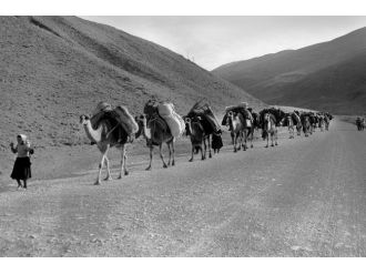 Bursa Fotofest’in Bu Yılki Teması Göç Oldu