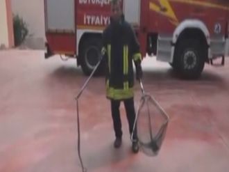 İtfaiyeden Vatandaşlara Yılan Yakalama Dersi