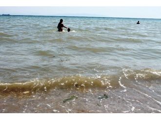 (Özel Haber) Tekirdağ’da Denizde Büyük Tehlike