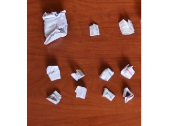 Lapseki’de Bonzai Ele Geçirildi